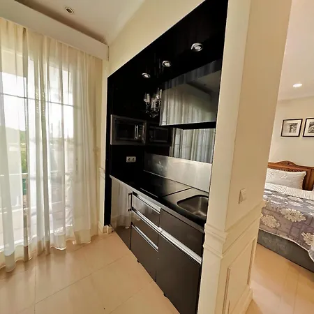 In Gvadalpin 5 Stars Hotel, With Big Terrace Marbella