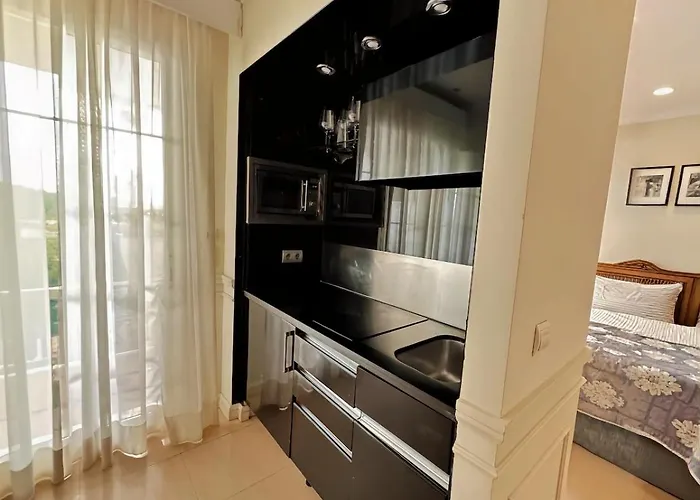 In Gvadalpin 5 Stars Hotel, With Big Terrace Marbella